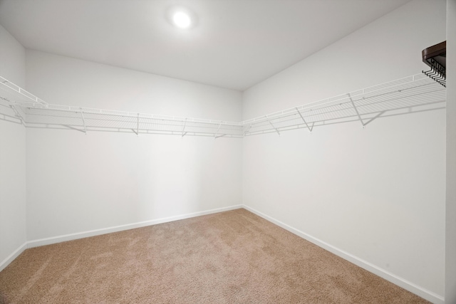 127 Huntley Meadows Dr, Rossville, GA 30741 - walk in closet featuring light carpet
