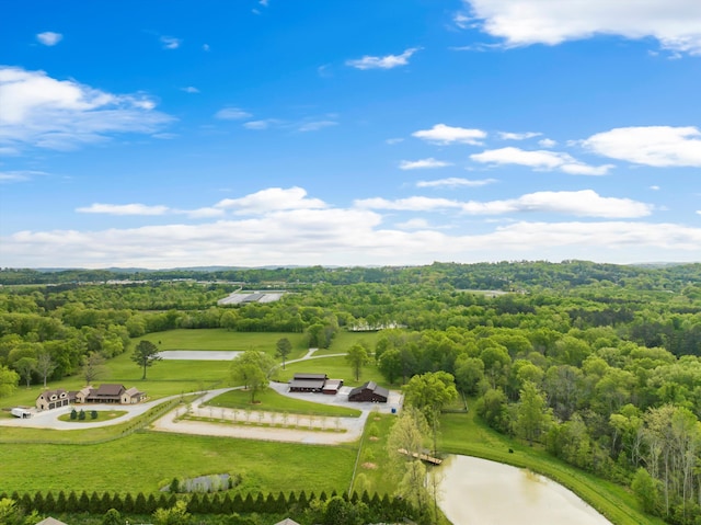127 Huntley Meadows Dr, Rossville, GA 30741 - drone / aerial view featuring a view of trees and a water view