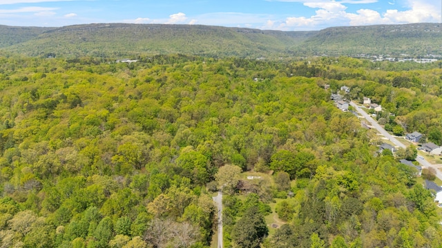 401 Laymons Rd, Hixson, TN 37343 - bird's eye view with a mountain view and a view of trees