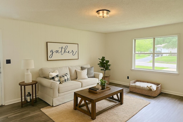 5410 Sunny Dell Ln, Chattanooga, TN 37412 - living room with dark wood-style floors and a textured ceiling