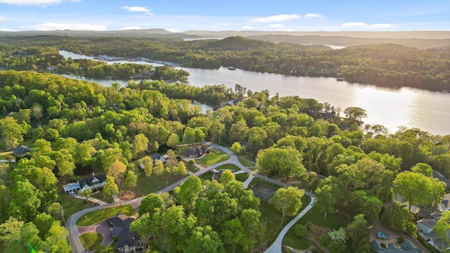 6500 Waconda Point Rd, Harrison, TN 37341 - aerial view featuring a forest view and a water view