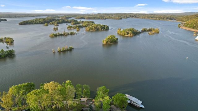6500 Waconda Point Rd, Harrison, TN 37341 - bird's eye view with a view of trees and a water view