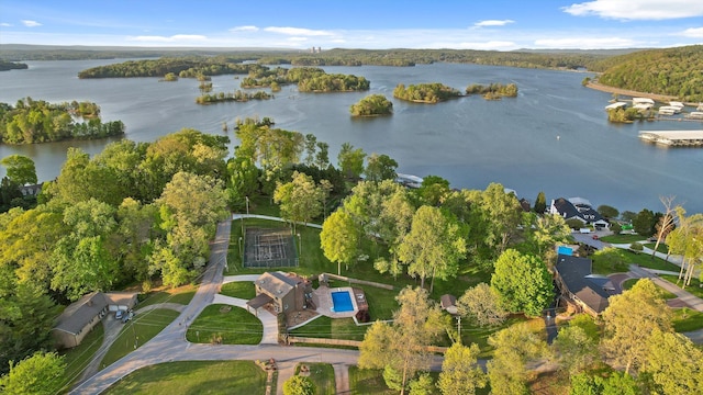 6500 Waconda Point Rd, Harrison, TN 37341 - birds eye view of property with a forest view and a water view