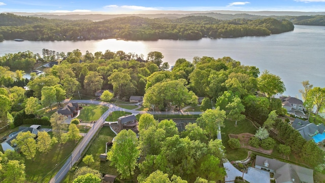 6500 Waconda Point Rd, Harrison, TN 37341 - drone / aerial view with a forest view and a water view