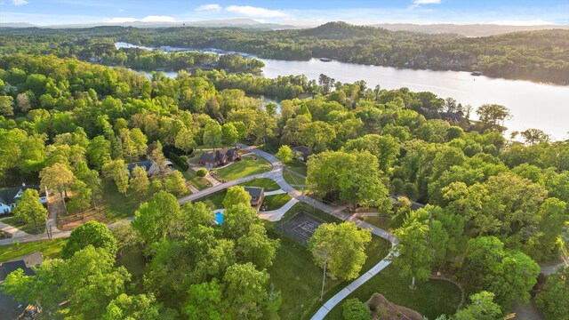 6500 Waconda Point Rd, Harrison, TN 37341 - aerial view featuring a view of trees and a water view
