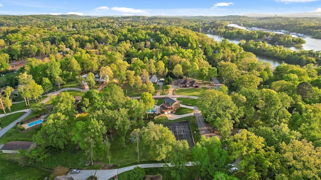 6500 Waconda Point Rd, Harrison, TN 37341 - aerial view with a view of trees and a water view