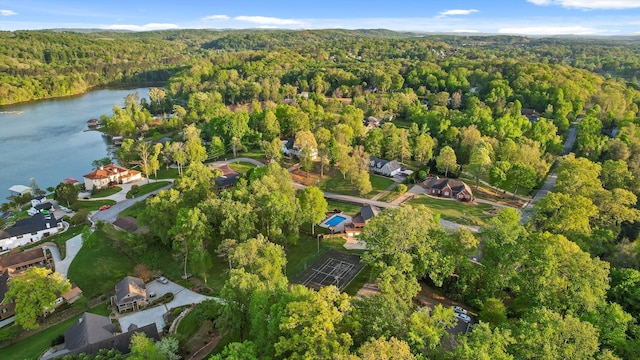 6500 Waconda Point Rd, Harrison, TN 37341 - aerial view featuring a view of trees and a water view