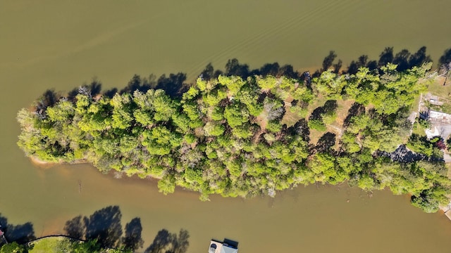 6500 Waconda Point Rd, Harrison, TN 37341 - bird's eye view with a water view