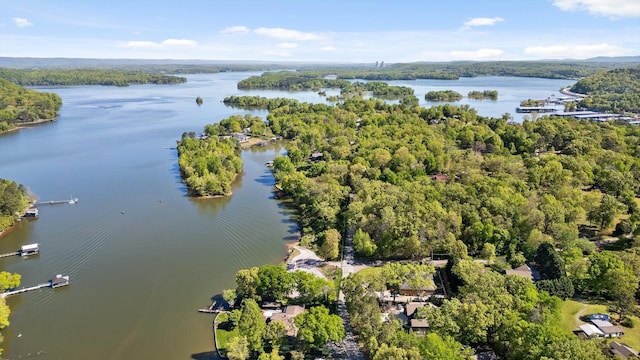 6500 Waconda Point Rd, Harrison, TN 37341 - drone / aerial view with a forest view and a water view