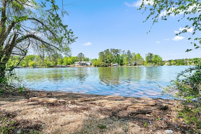 6500 Waconda Point Rd, Harrison, TN 37341 - view of water feature