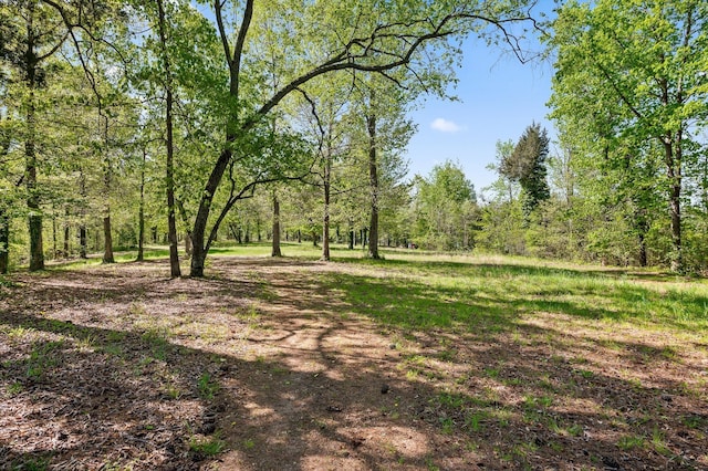 6500 Waconda Point Rd, Harrison, TN 37341 - view of yard