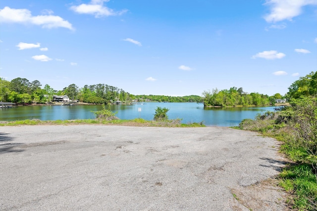 6500 Waconda Point Rd, Harrison, TN 37341 - property view of water