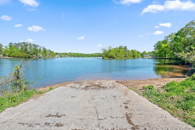 6500 Waconda Point Rd, Harrison, TN 37341 - view of water feature