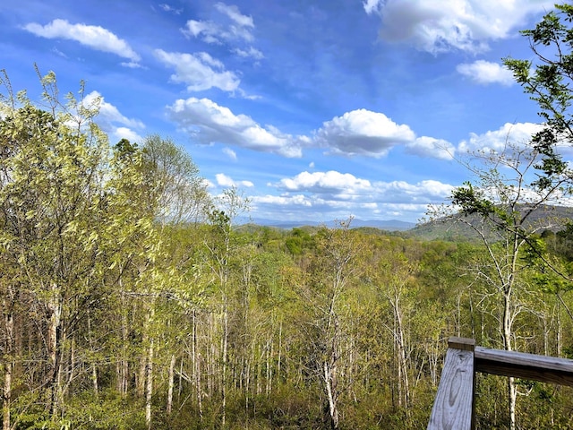 250 County Road 476, Englewood, TN 37329
