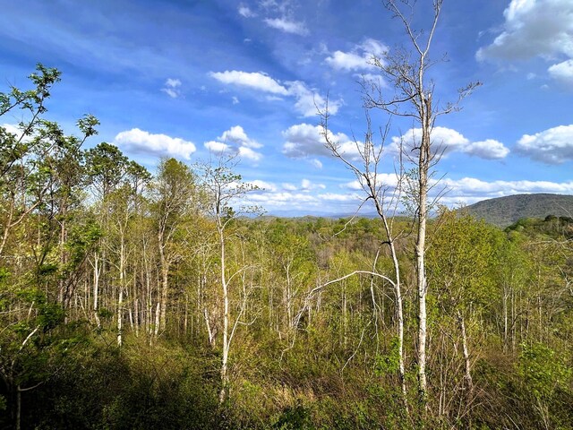 250 County Road 476, Englewood, TN 37329