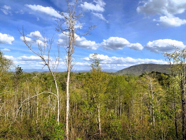 250 County Road 476, Englewood, TN 37329