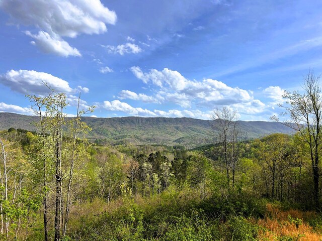 250 County Road 476, Englewood, TN 37329