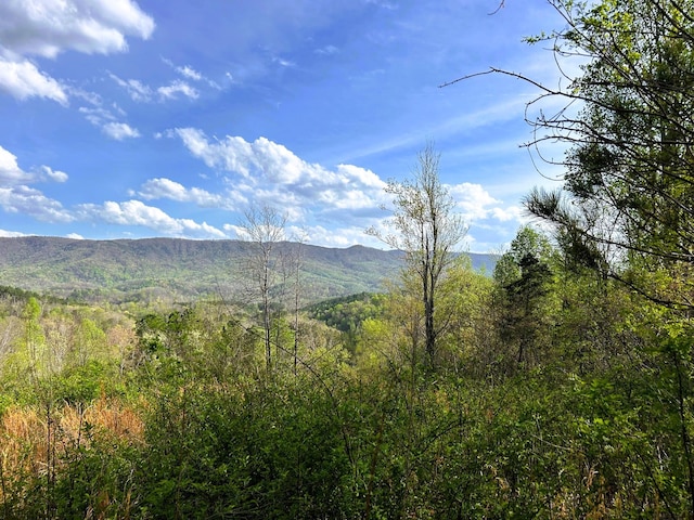 250 County Road 476, Englewood, TN 37329