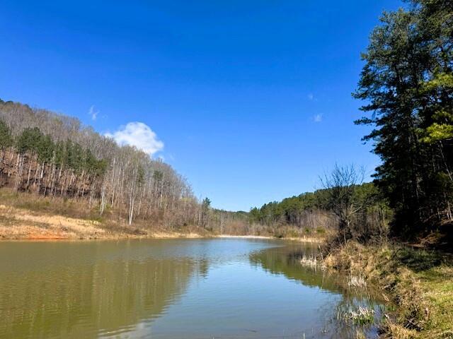 250 County Road 476, Englewood, TN 37329