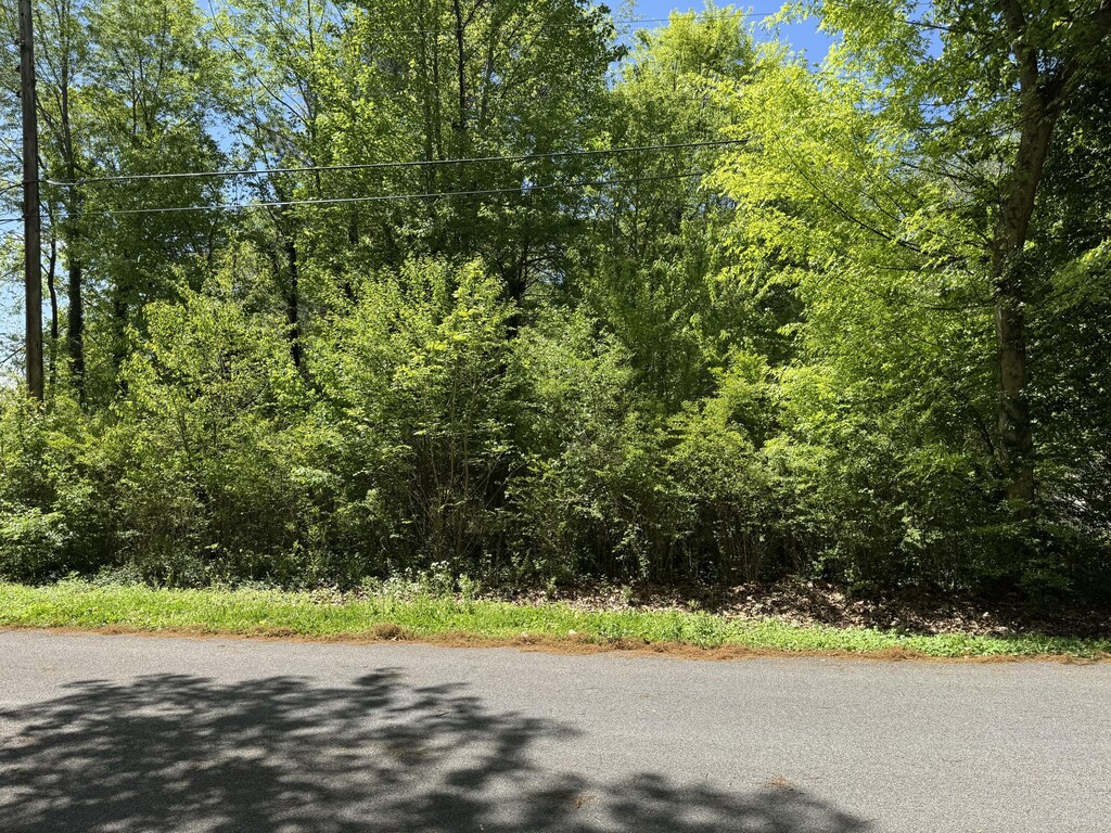 00 Eleanor Dr SW, Cleveland, TN 37311 - photo 1