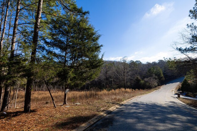 6601 Flagstone Dr, Ooltewah, TN 37363 - photo 6