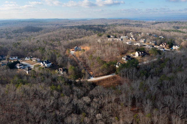 6601 Flagstone Dr, Ooltewah, TN 37363 - photo 7