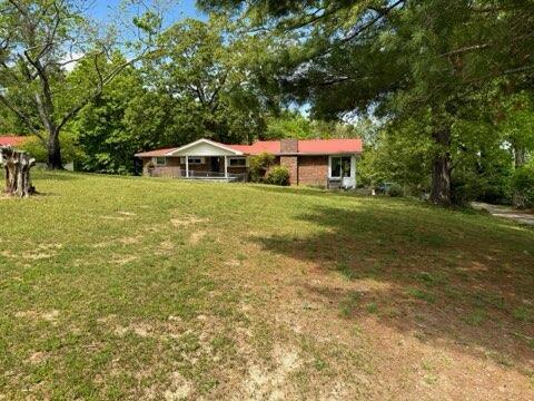 view of grassy yard