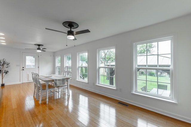 14 Hillcrest Ct, Ringgold, GA 30736 - dining area featuring healthy amount of natural light, baseboards, light wood finished floors, and ceiling fan