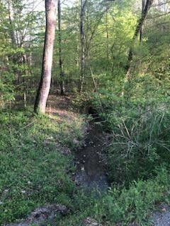 258 Clay Baker Rd NW, Cleveland, TN 37311 - photo 8