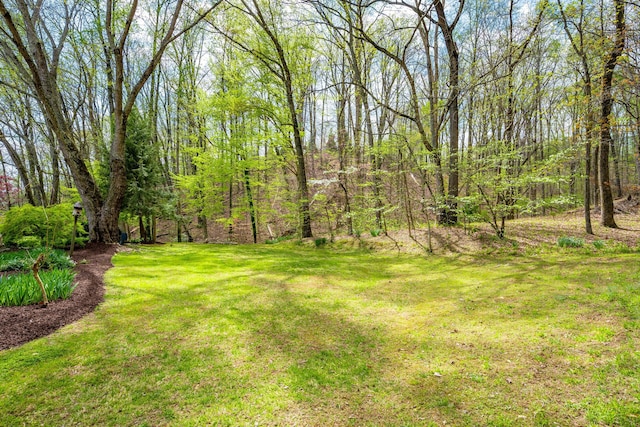 view of yard with a forest view