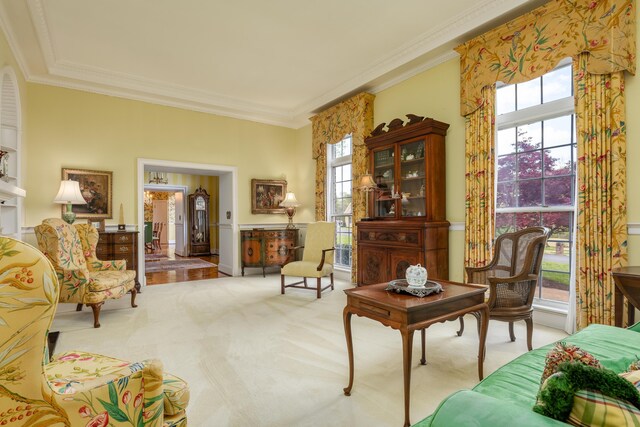 living area featuring ornamental molding and carpet flooring