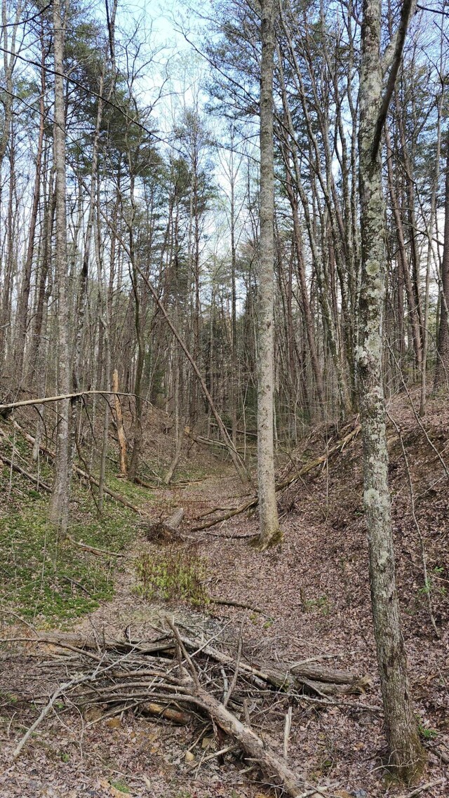 0 Old Holy Water Rd # 1, Tracy City, TN 37387
