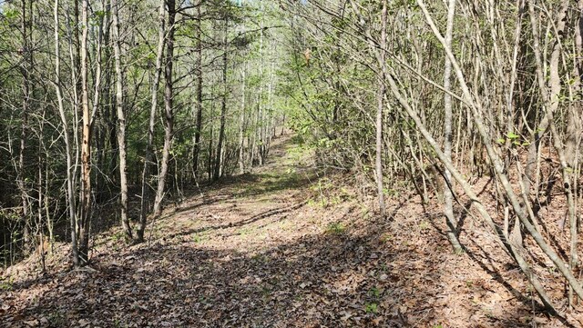 0 Old Holy Water Rd # 1, Tracy City, TN 37387