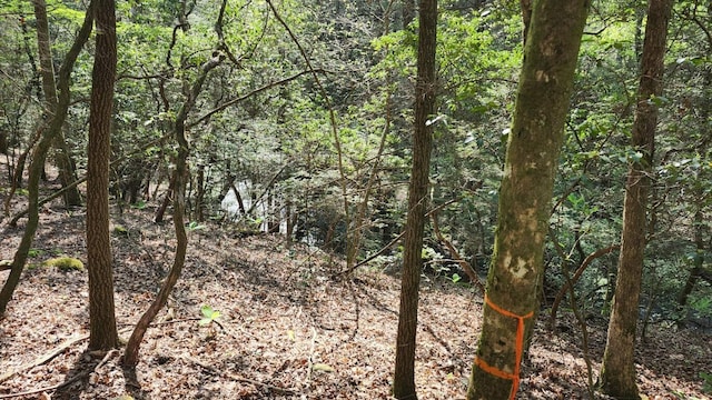 0 Old Holy Water Rd # 1, Tracy City, TN 37387