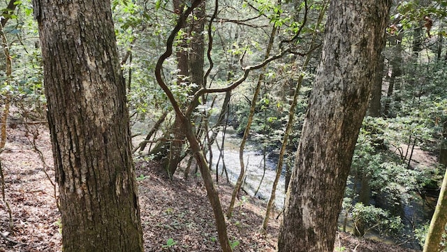 0 Old Holy Water Rd # 1, Tracy City, TN 37387