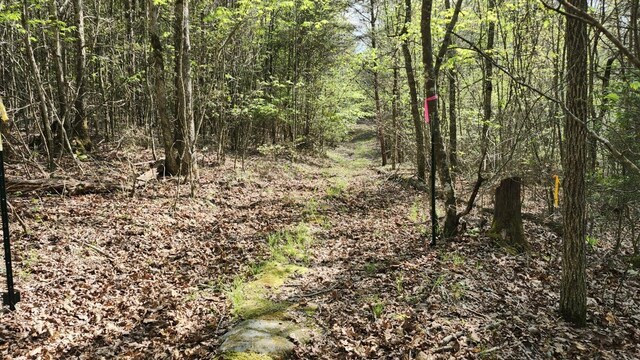0 Old Holy Water Rd # 1, Tracy City, TN 37387