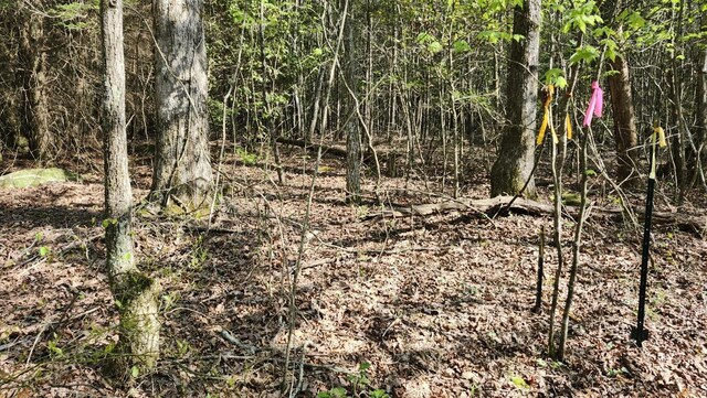 0 Old Holy Water Rd # 1, Tracy City, TN 37387