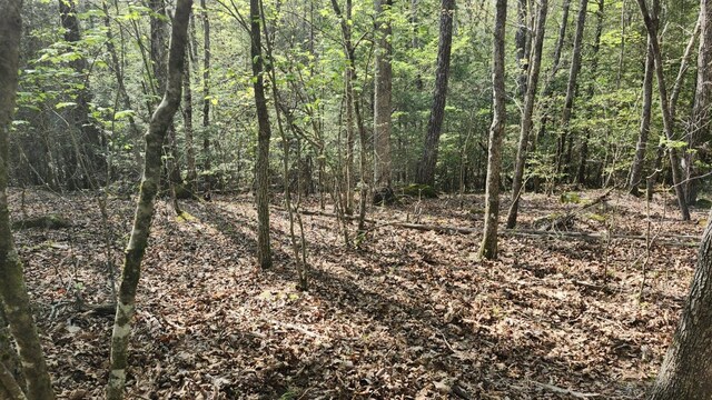 0 Old Holy Water Rd # 1, Tracy City, TN 37387