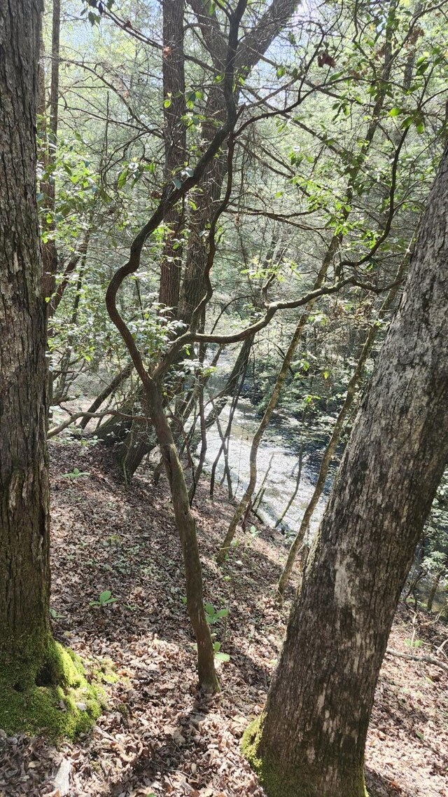0 Old Holy Water Rd # 1, Tracy City, TN 37387