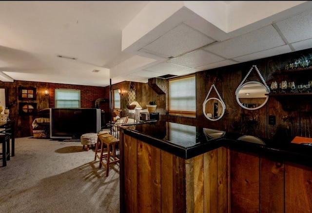 3745 Premium Dr, Chattanooga, TN 37415 - bar with indoor bar, carpet floors, visible vents, and wood walls