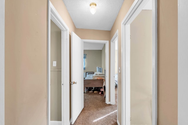 3300 Redding Rd, Chattanooga, TN 37415 - corridor with carpet floors and a textured ceiling