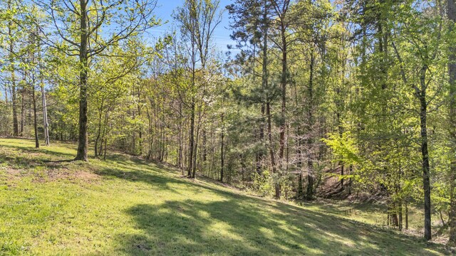 view of yard featuring a view of trees