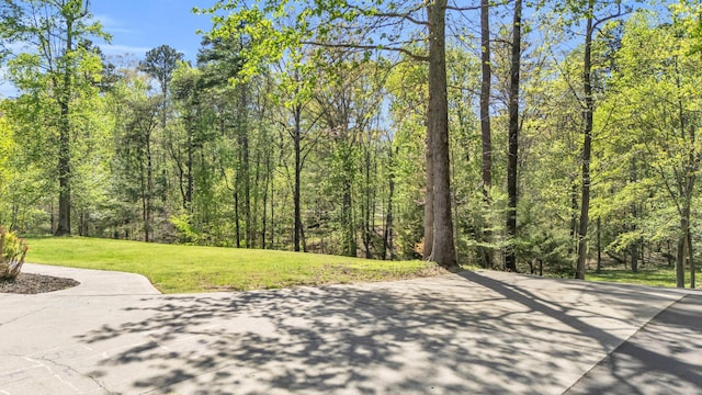 surrounding community featuring a wooded view, a yard, and driveway