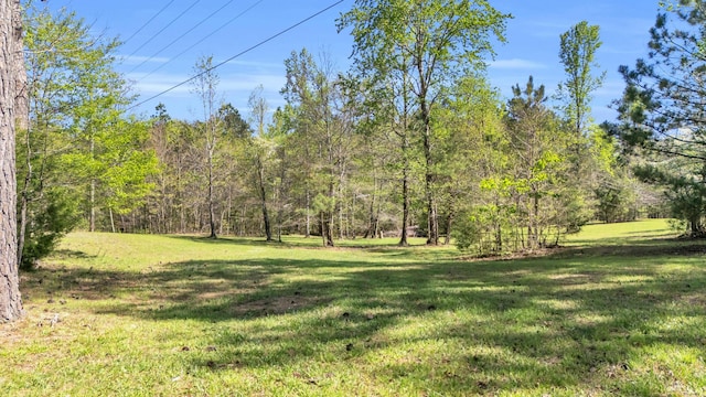 view of yard with a wooded view