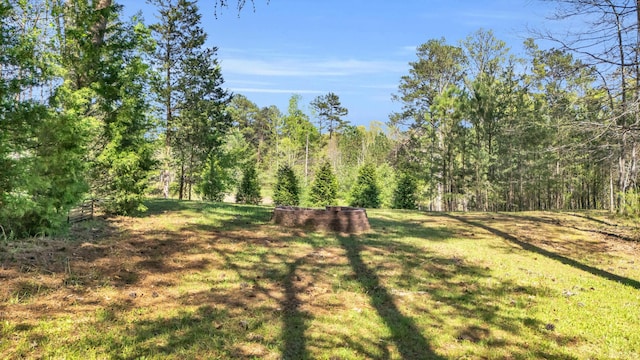view of yard with a view of trees