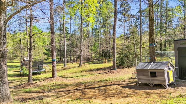 view of yard featuring an outdoor structure and a trampoline
