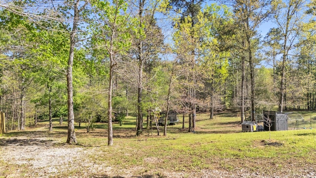 view of yard with an outbuilding and a forest view