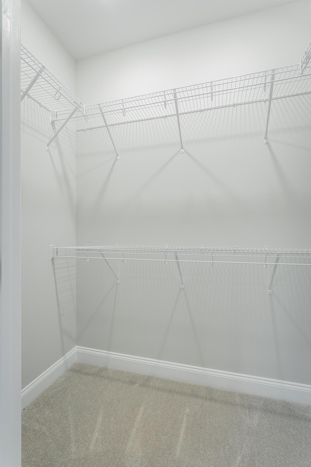 walk in closet with carpet