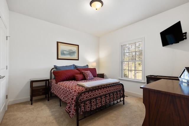 12237 Wildlife Pl, Soddy Daisy, TN 37379 - bedroom with light carpet and baseboards