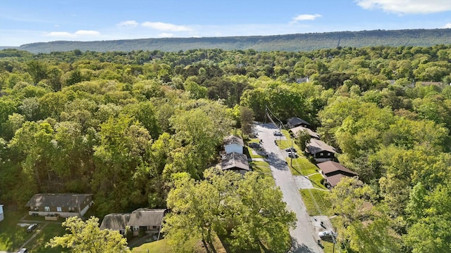 810 Forest Dale Ln, Hixson, TN 37343 - drone / aerial view with a view of trees